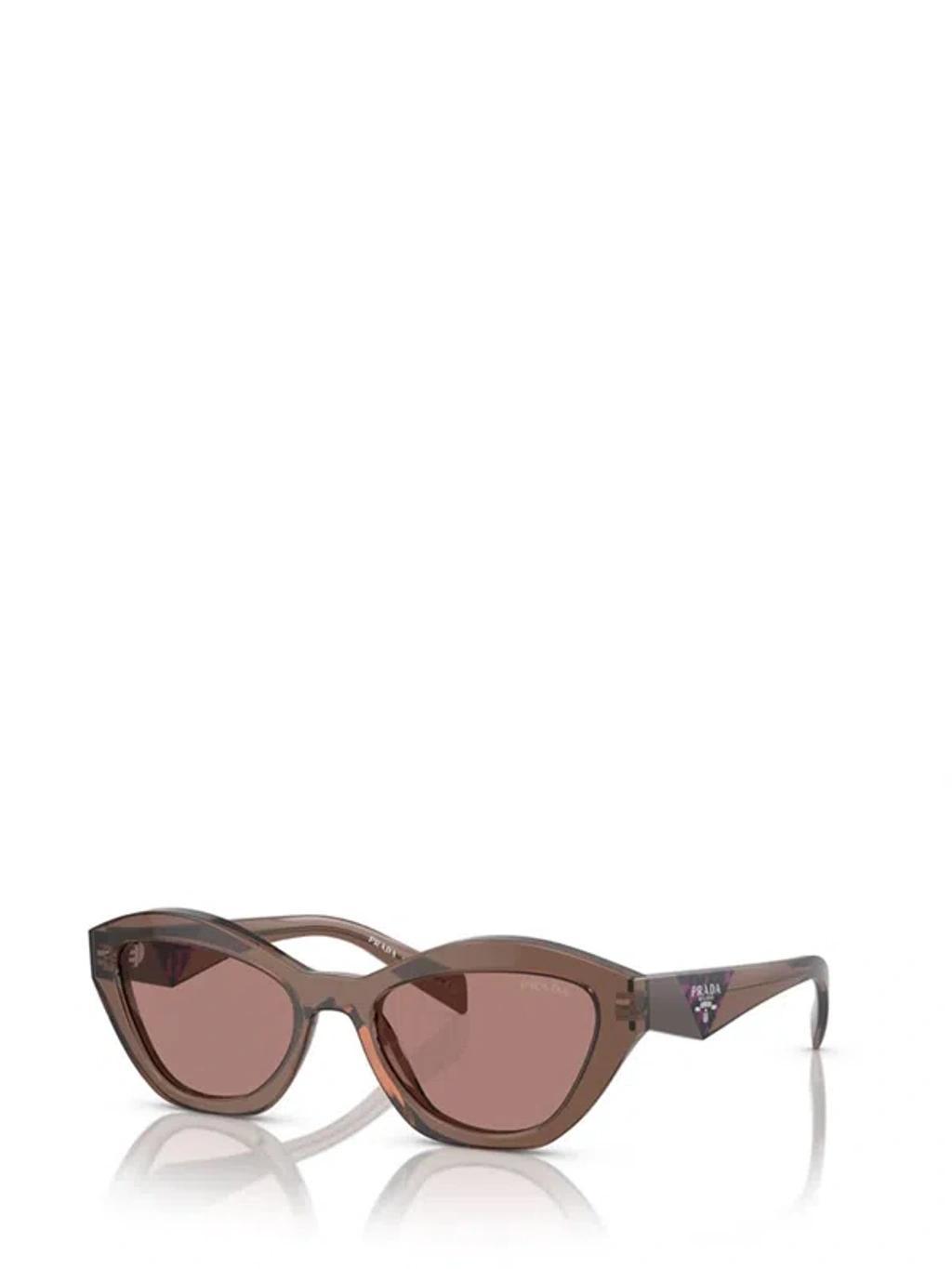 Sunglasses In Brown Product Image