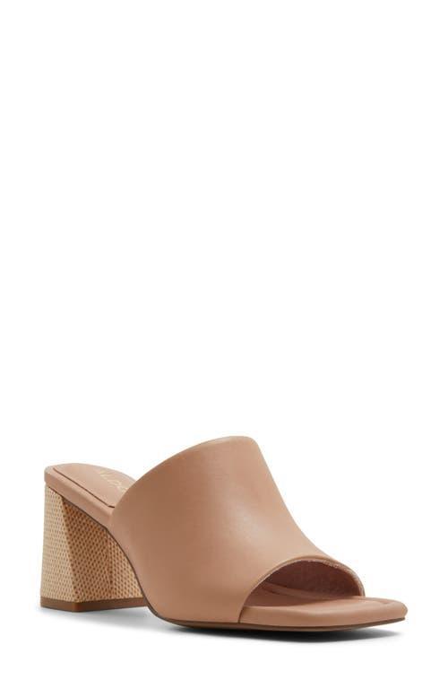 ALDO Meshka Block Heel Slide Sandal Product Image