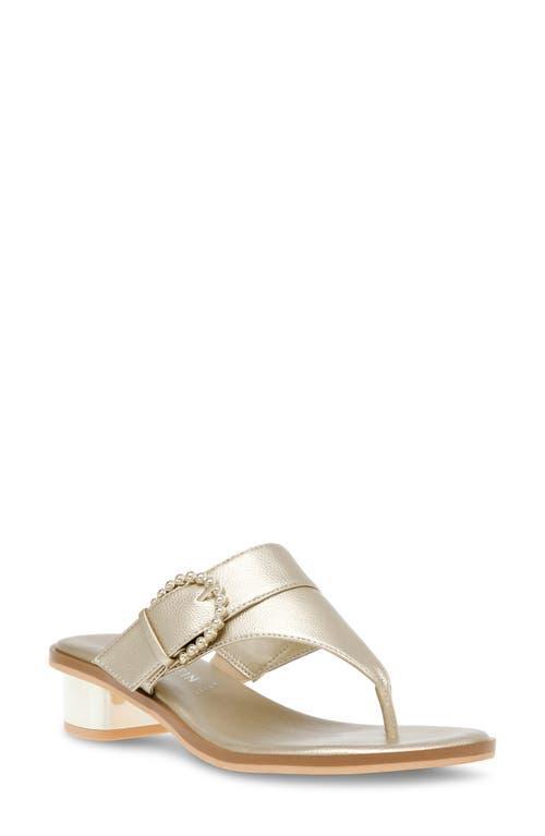 Anne Klein Thessy Sandal Product Image