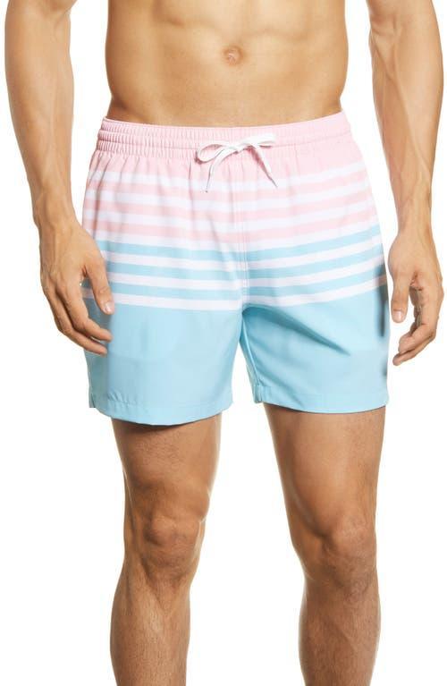 Chubbies The On The Horizons 5.5 Inseam Stretch Swim Trunks Product Image