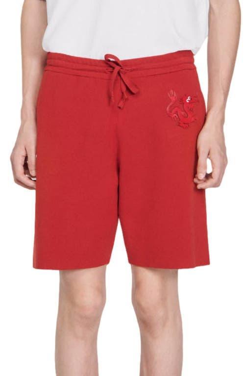 Mens Dragon Shorts Product Image