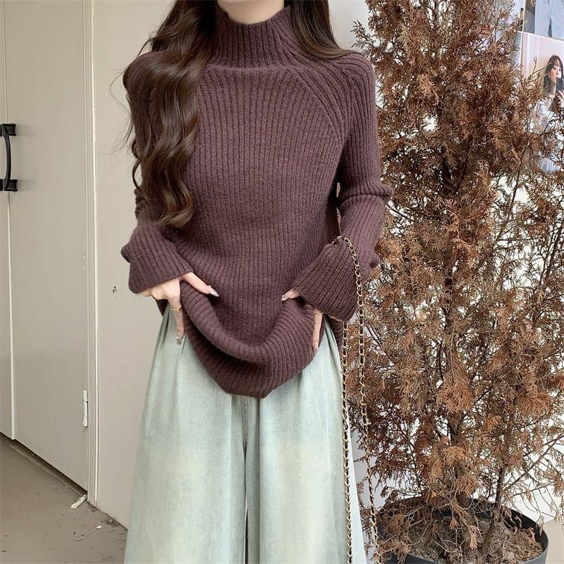 Long-Sleeve Turtleneck Ribbed Knit Top Product Image