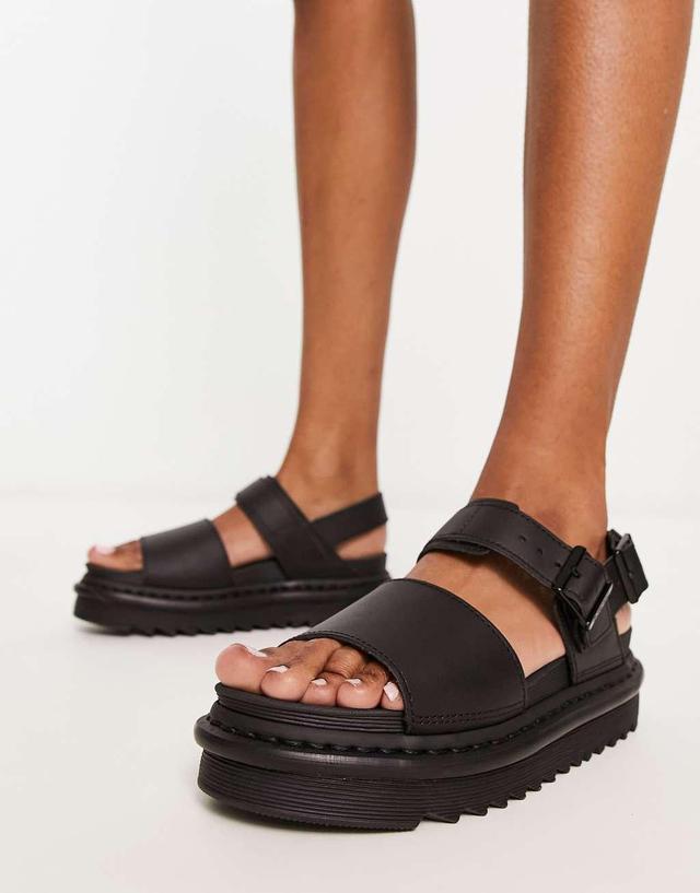 Dr Martens Voss leather sandals in black Product Image