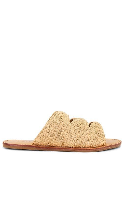 Ivy Sandal Product Image