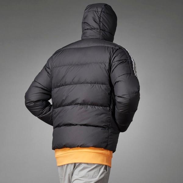 Essentials Midweight Down Hooded Jacket Product Image