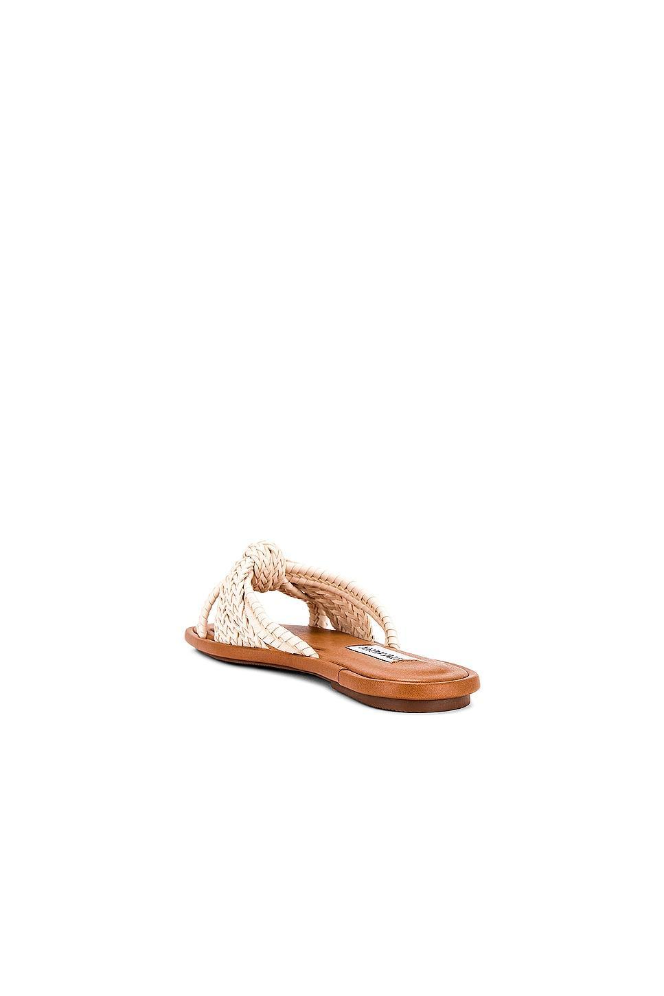 Kandace Sandal Steve Madden Product Image