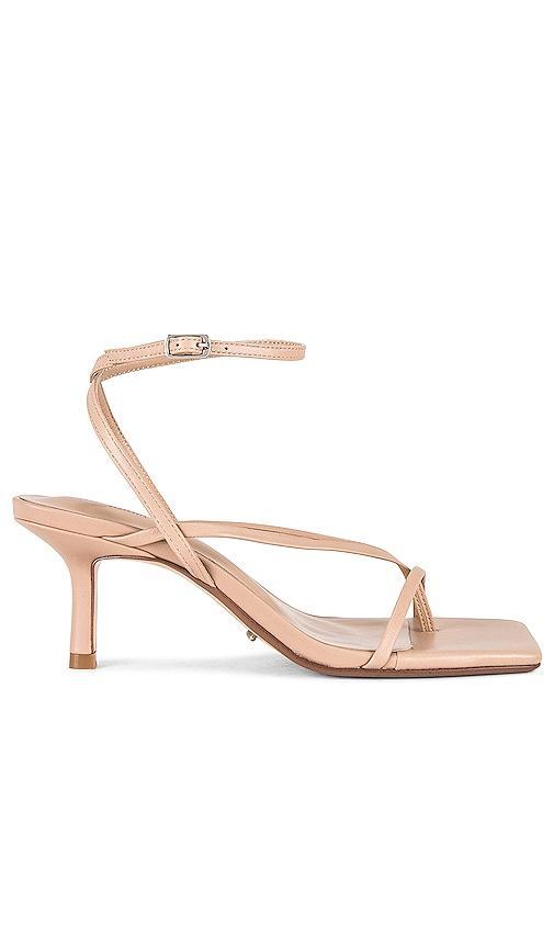 Tony Bianco Avi Sandal in Beige. - size 9 (also in 10, 5, 5.5, 6, 6.5, 7, 8.5) product image