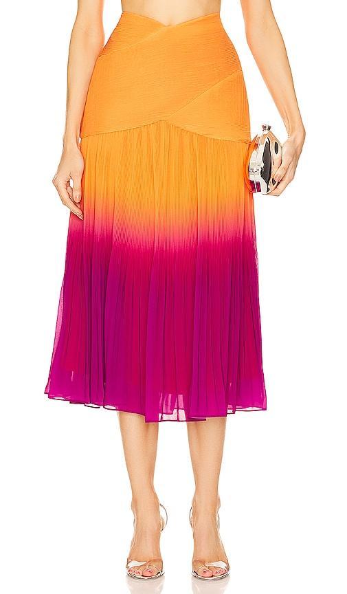 AMUR Louise Pleated Maxi Skirt Size 2, 6. product image