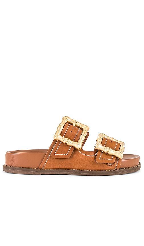 Enola Sporty Sandal Product Image