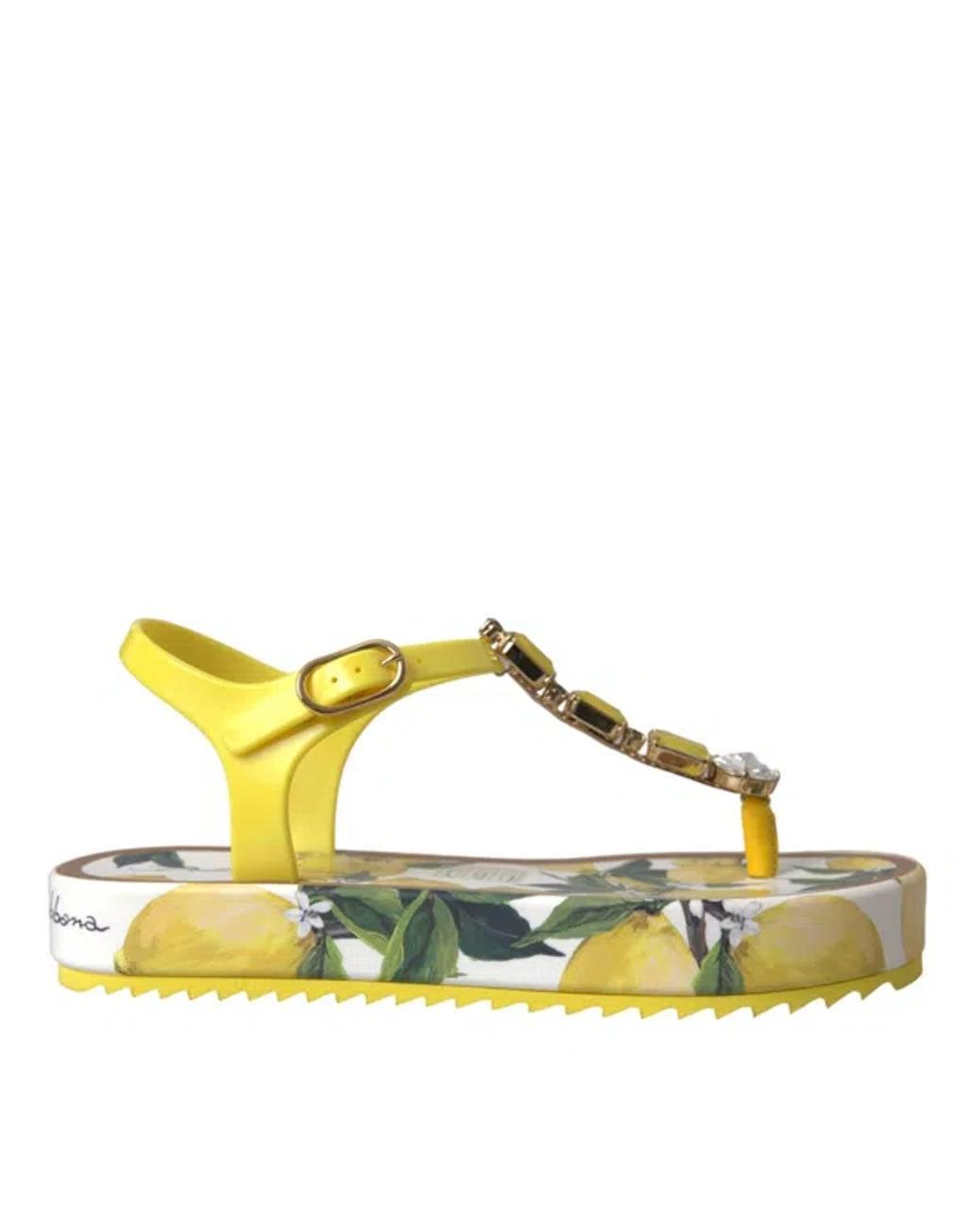 DOLCE & GABBANA Toe Strap Sandals In Yellow Product Image