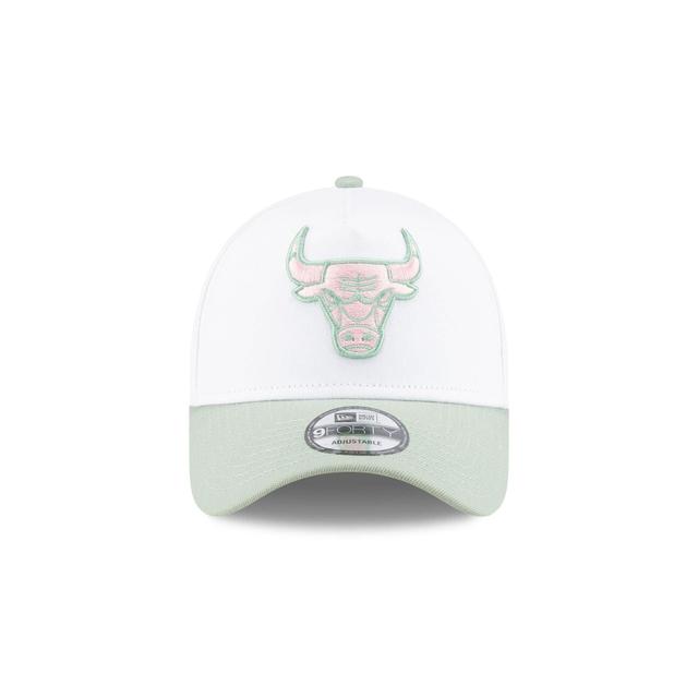 Chicago Bulls Spring Colorway 9FORTY A-Frame Snapback Hat Male Product Image