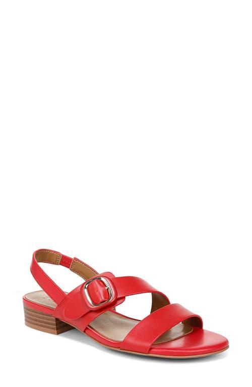 Naturalizer WOMENS MEESHA SLINGBACK Product Image