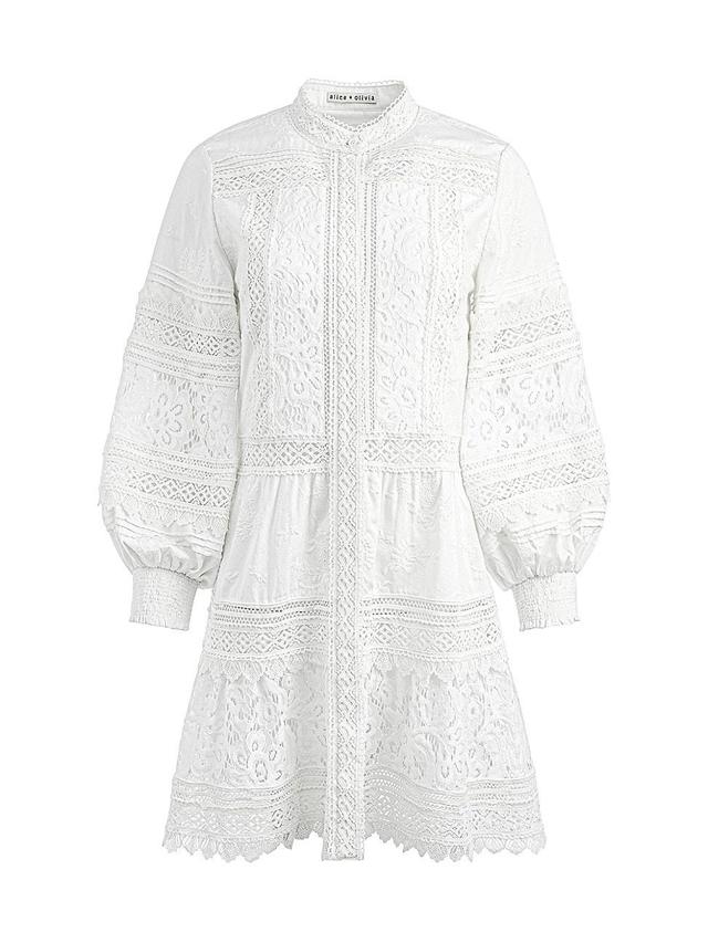 Womens Cailin Embroidered Minidress Product Image