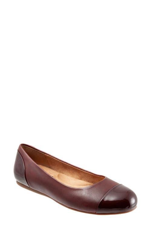 SoftWalk Sonoma Cap Toe Flat Product Image