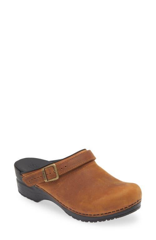 Sanita Morse (Chestnut) Women's Shoes Product Image