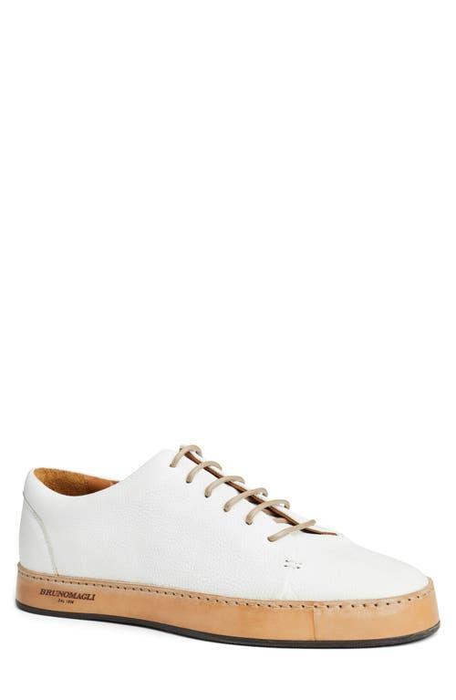 BRUNO MAGLI COLLEZIONE Trento Court Sneaker Product Image