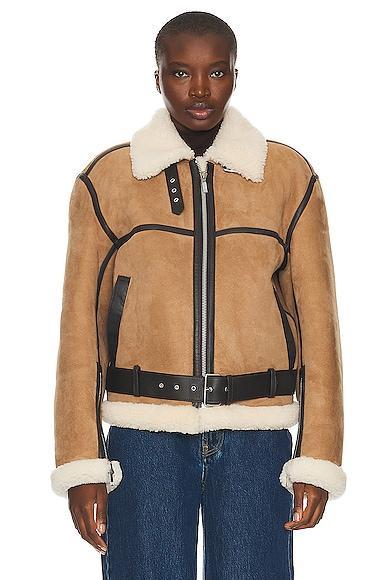 Toteme Shearling Aviator Jacket in Brown Product Image