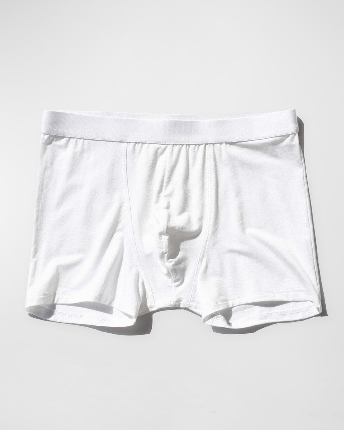 Mens Solid Boxer Brief Product Image