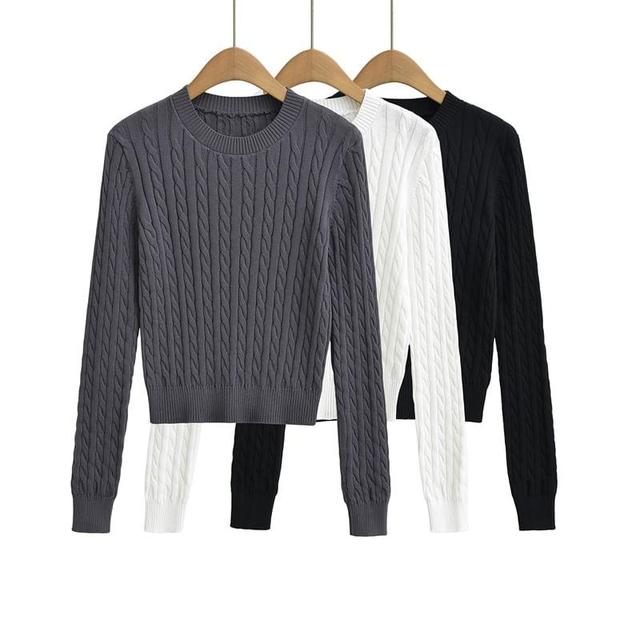 Crew Neck Plain Cable-Knit Sweater Product Image