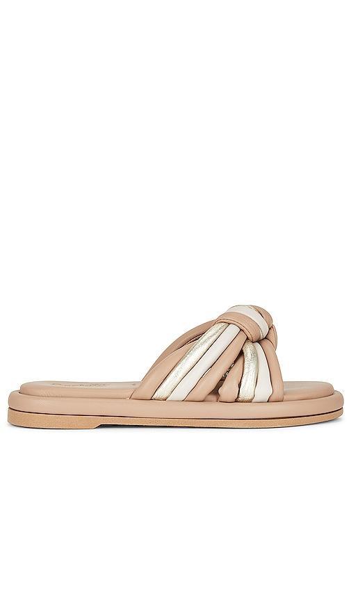 Seychelles Simply the Best Sandal in Tan. - size 6 (also in 7.5, 9.5) Product Image