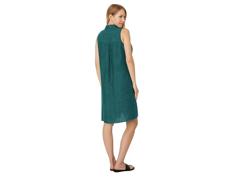 Eileen Fisher Classic Collar Dress (Agean) Women's Clothing Product Image