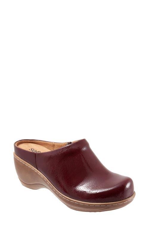 SoftWalk Amber Clog Product Image