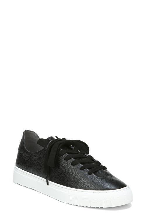 Sam Edelman Poppy Sneaker Product Image