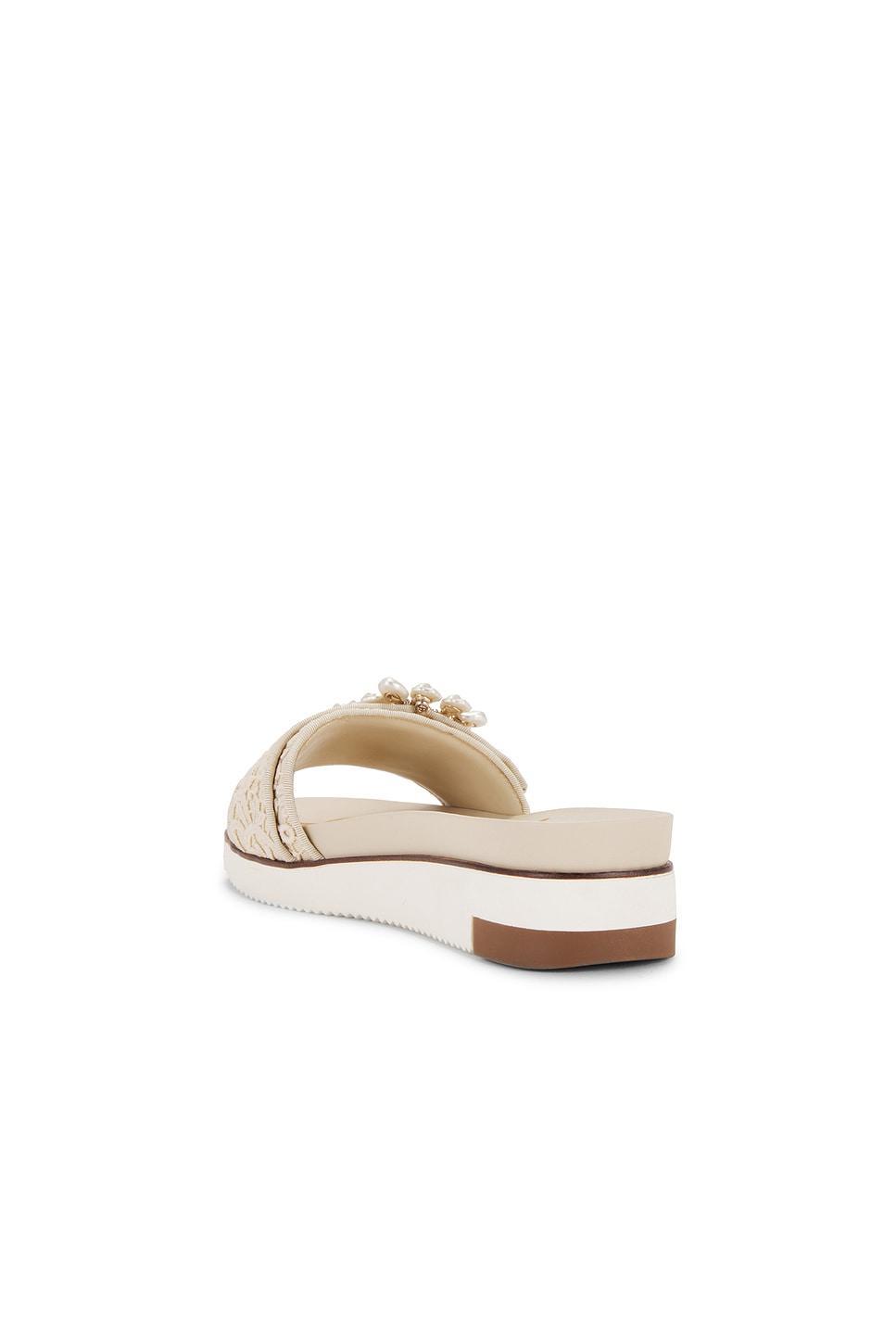 Arianeorchid Sandal Sam Edelman Product Image