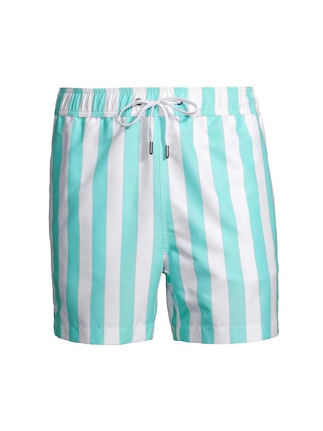 Mens Charles Stripes Swim Shorts Product Image