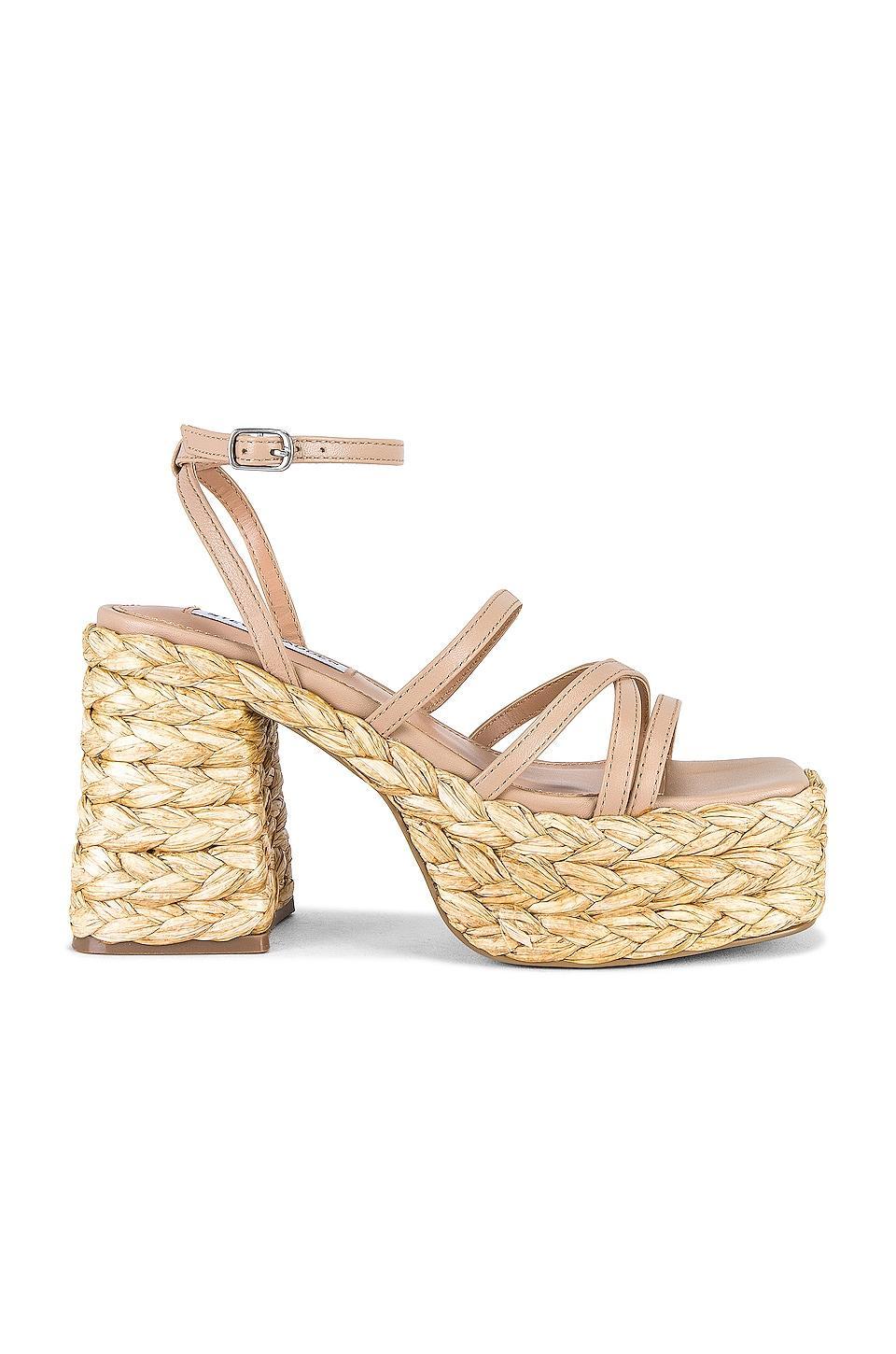 Belise Sandal Steve Madden Product Image