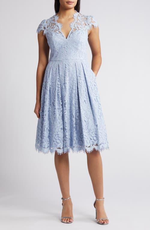 Eliza J Lace Fit & Flare Cocktail Dress Product Image