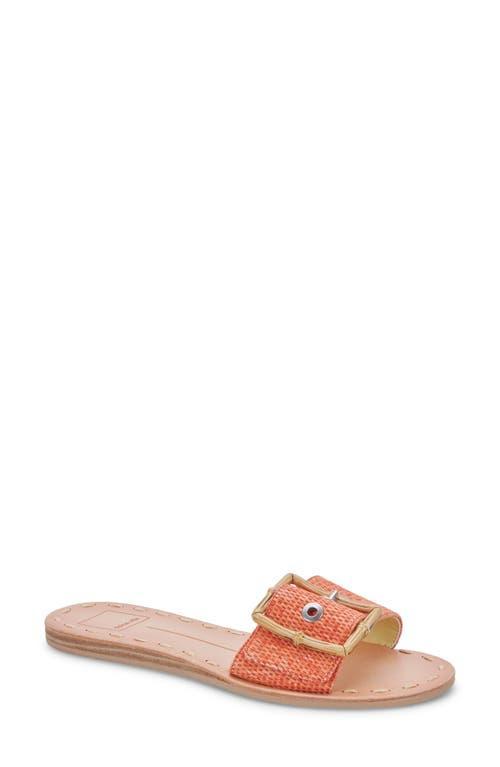 Dolce Vita Dasa Slide Sandal Product Image