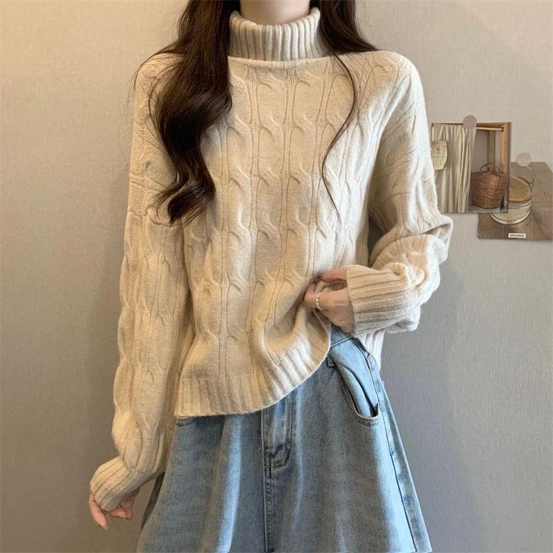 Turtleneck Plain Cable Knit Sweater Product Image