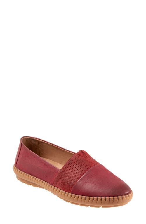 Trotters Ruby Perforated Loafer Product Image