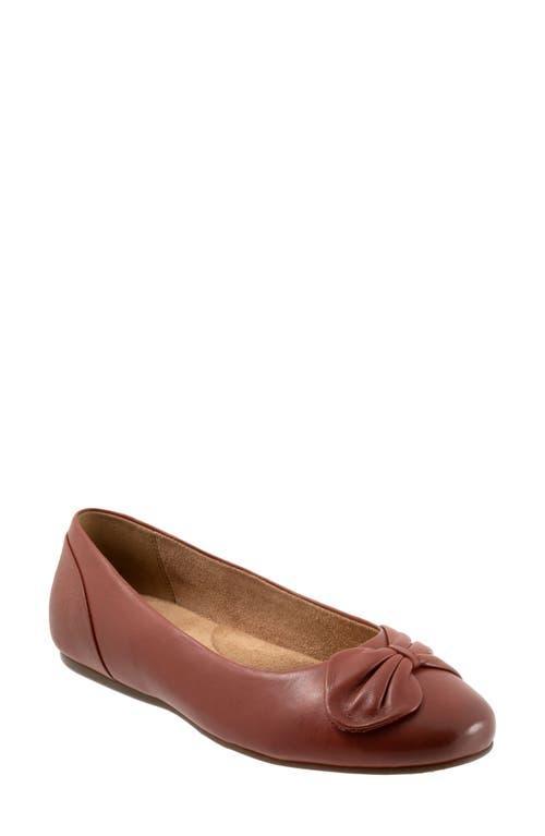 SoftWalk Sofia Bow Ballet Flat Product Image