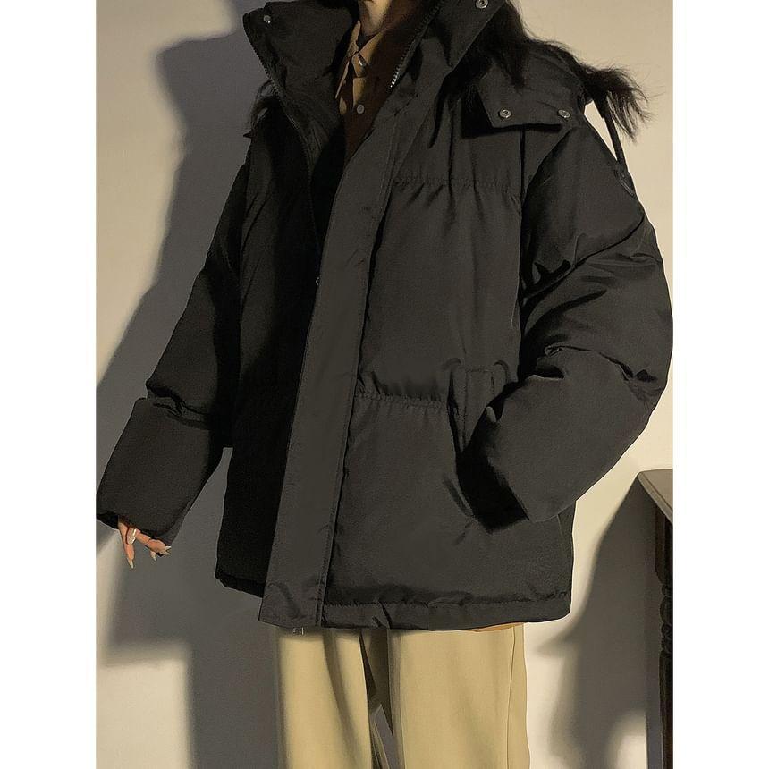 Stand Collar Plain Hood Zip Puffer Jacket Product Image