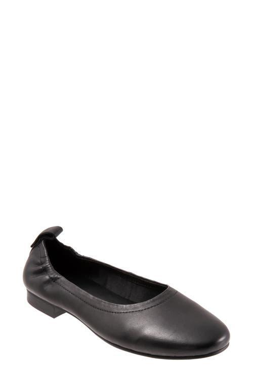 Trotters Gia Ballet Flat Product Image