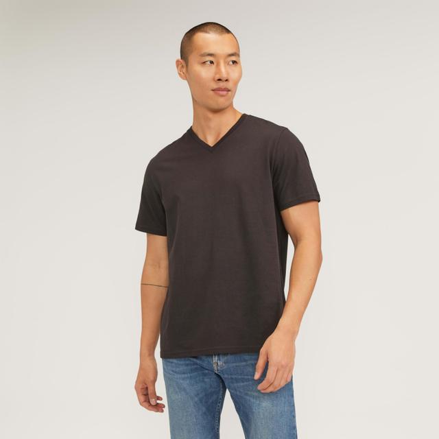 Mens Essential Organic V-Neck T-Shirt by Everlane Product Image