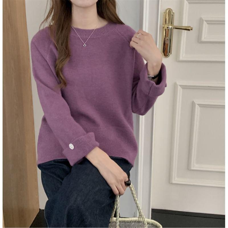 Long-Sleeve Crewneck Plain Knit Top Product Image