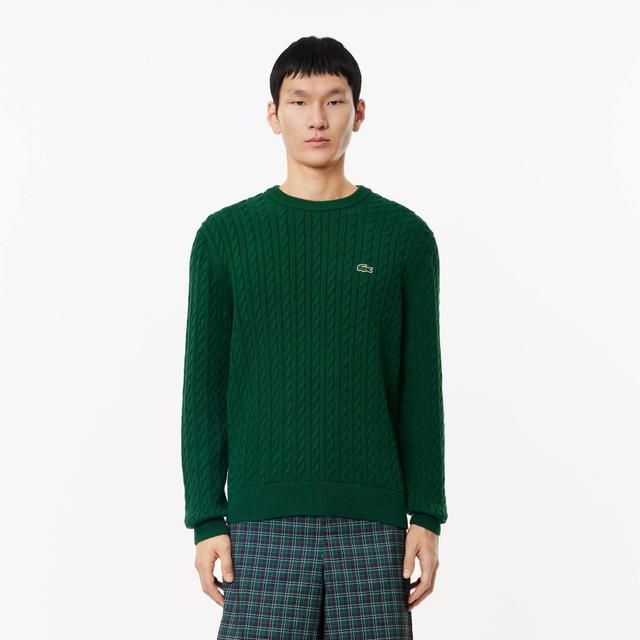 Cable Knit Cotton Sweater Product Image