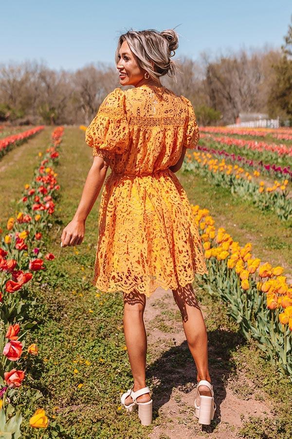 Forever Chic Crochet Mini Dress Product Image