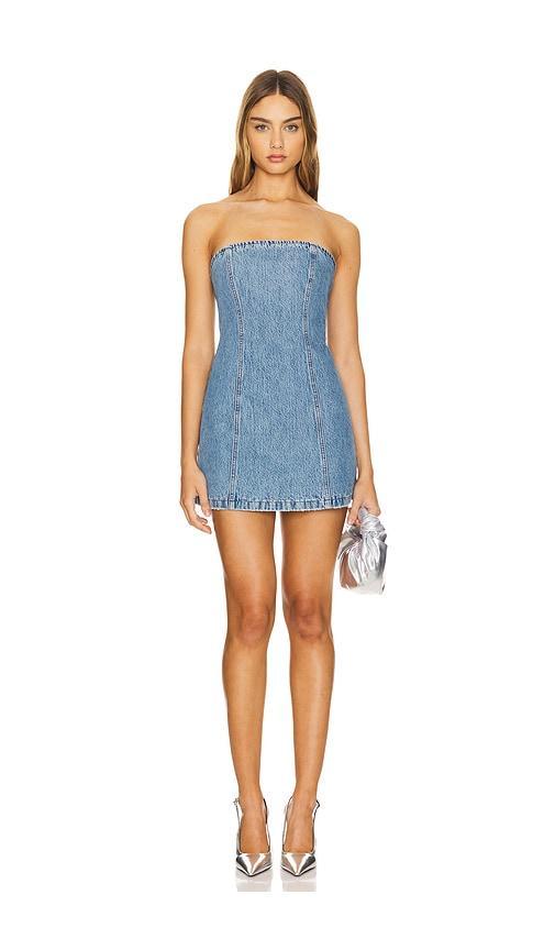 Jules Mini Dress Product Image