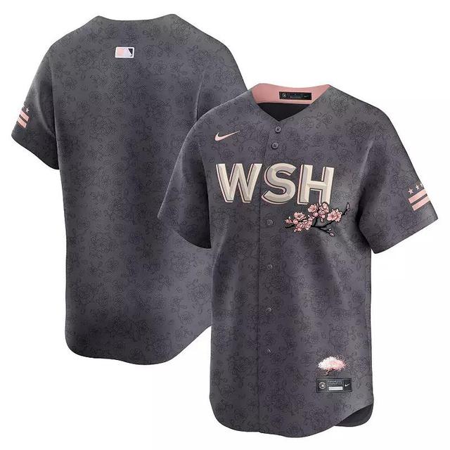 Mens Nike Charcoal Washington Nationals City Connect Limited Jersey Product Image