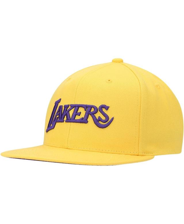 Mens Mitchell & Ness Los Angeles Lakers Hardwood Classics Tonal Snapback Hat Product Image