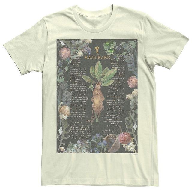 Mens Harry Potter Deathly Hallows 2 Mandrake Tee Product Image