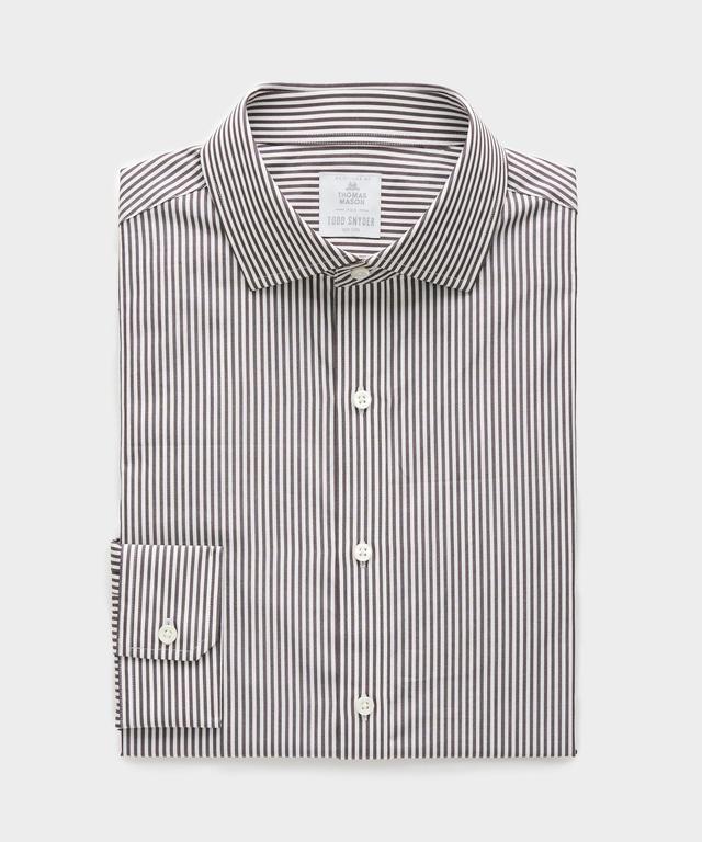 Spread Collar Poplin Dress Shirt in Brown Banker Stripe Product Image