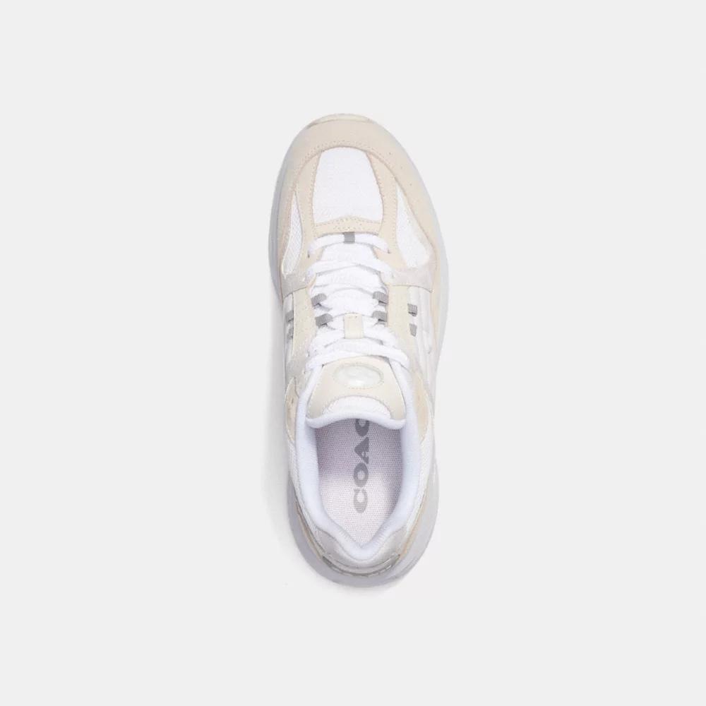 C301 Sneaker With Signature Canvas Product Image