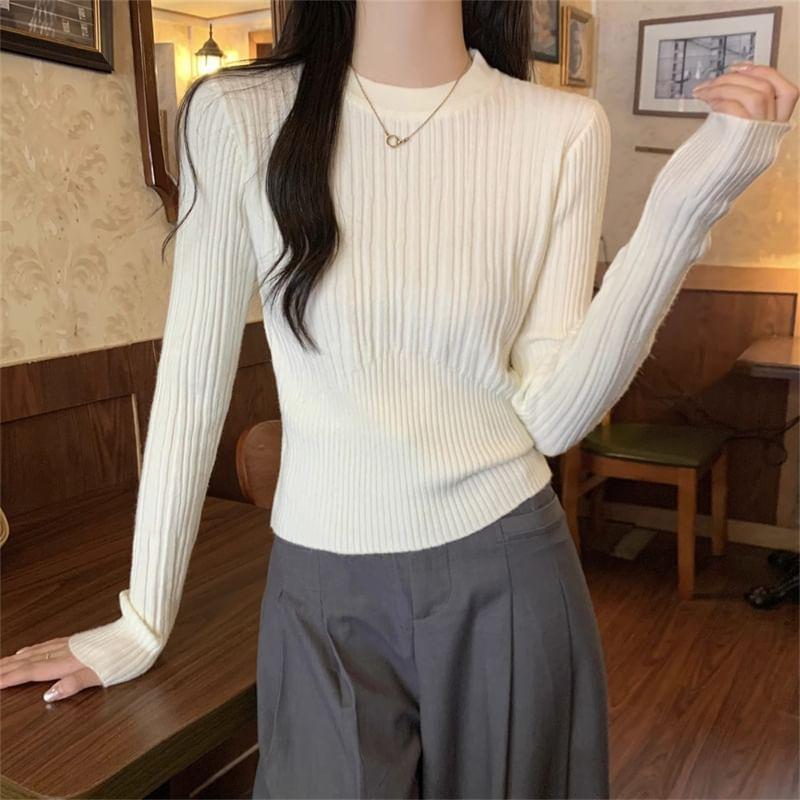 Long Sleeve Crew Neck Plain Ribbed Knit Crop Top Product Image