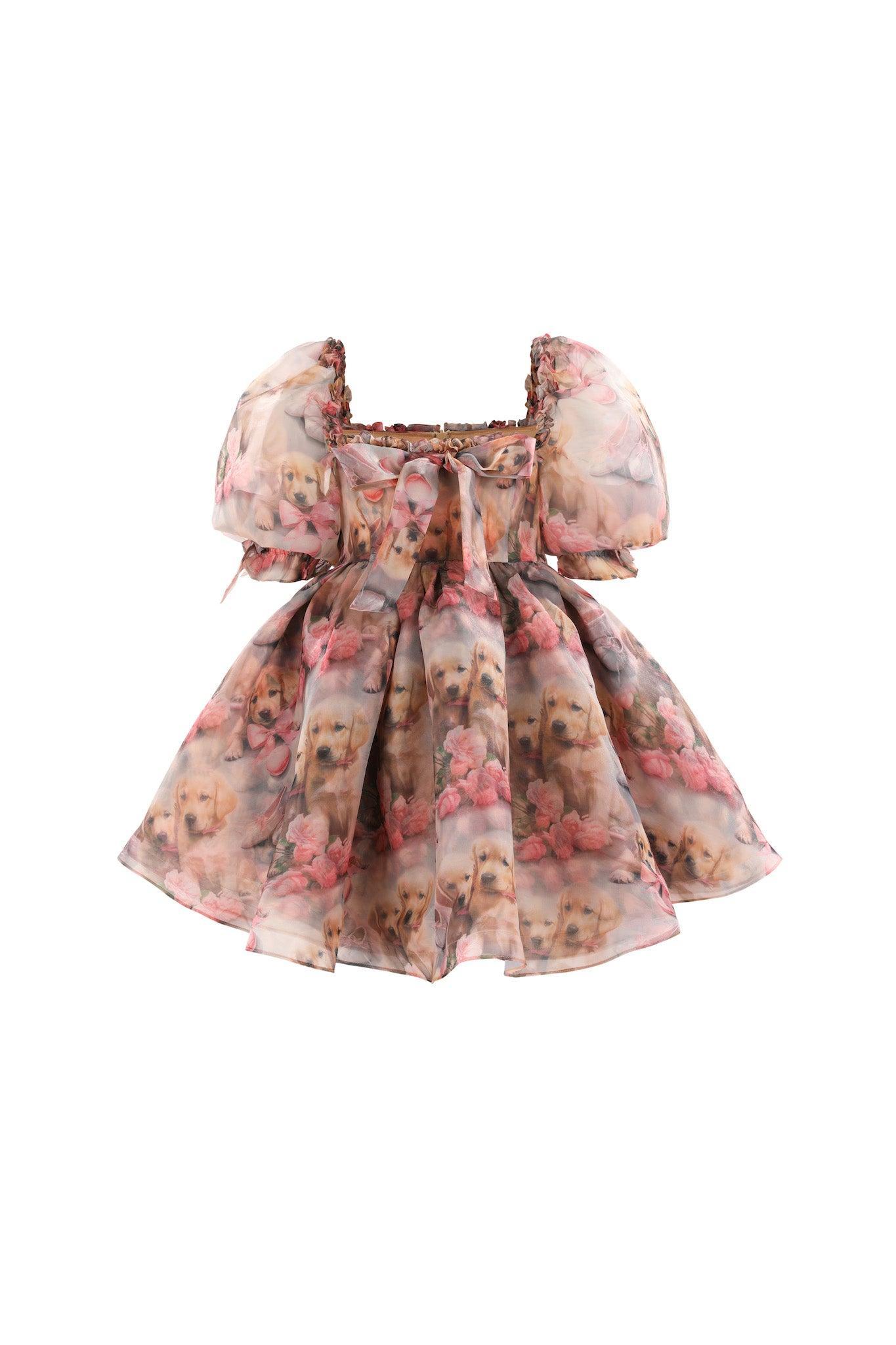 The Golden Paradise Mini Shabby Chic Dress Product Image