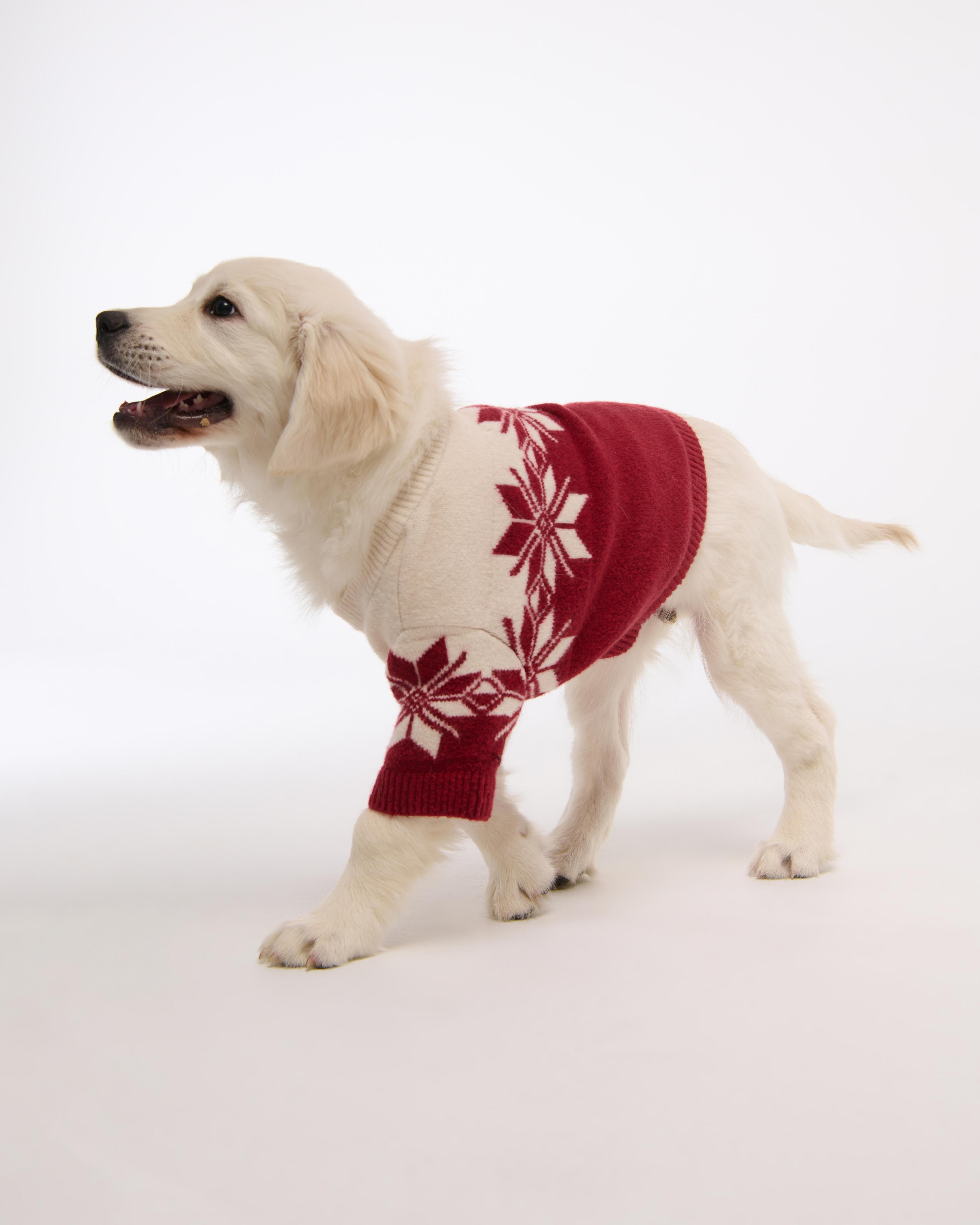 A&F Pet Flannel Product Image